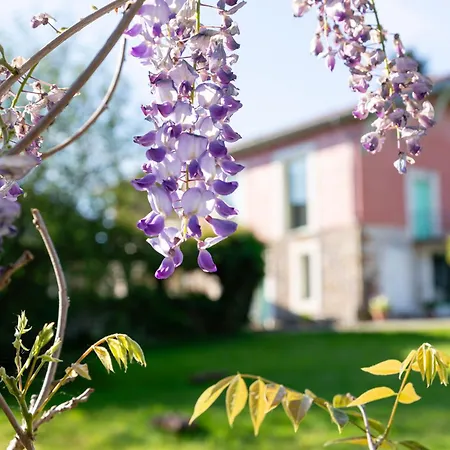Venkovský dům Rolisas *